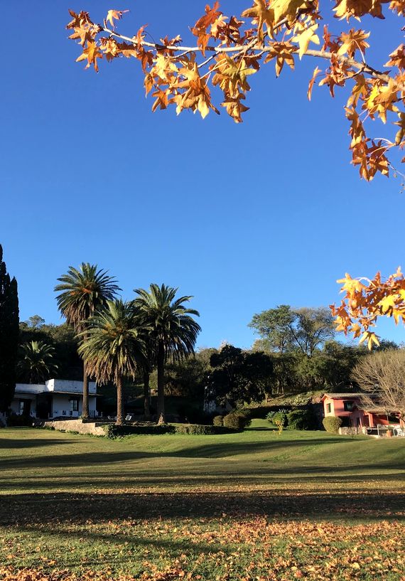 El parque